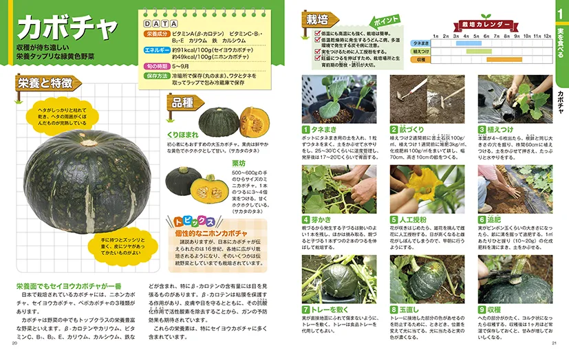 おいしい野菜の育て方